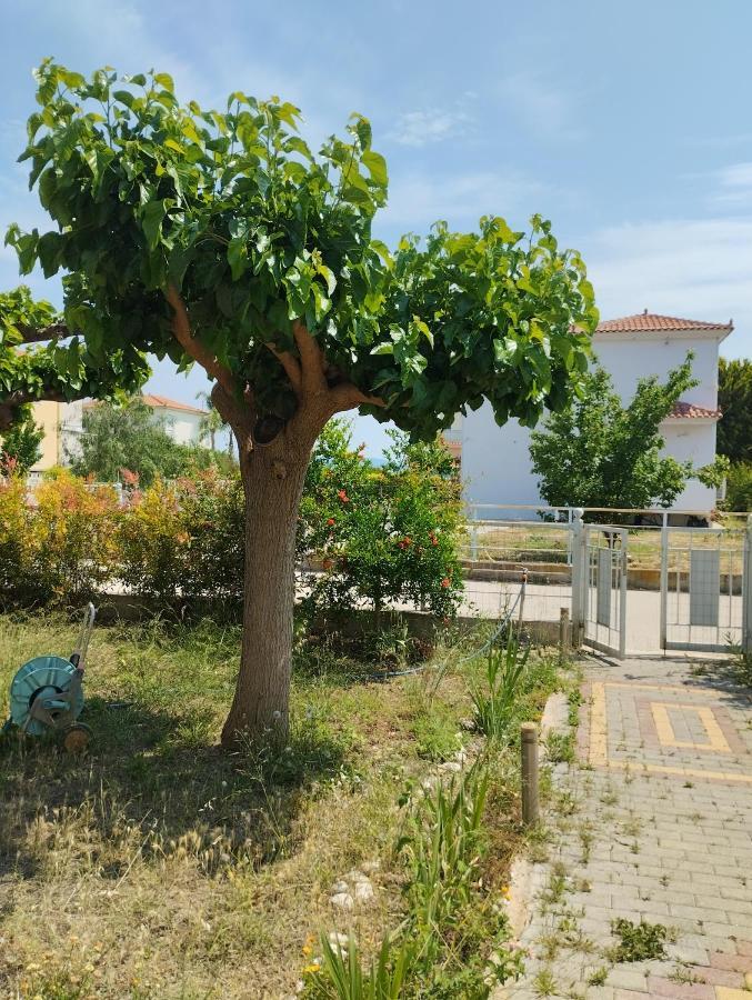 Calypso Two Bedroom Apartment Kandia Luaran gambar